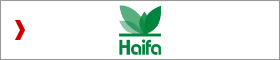 Haifa Group